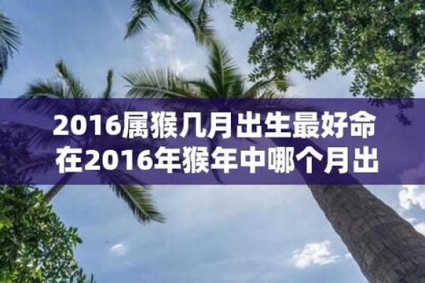 2016年猴年揭秘：探索属猴的命运与性格特征！