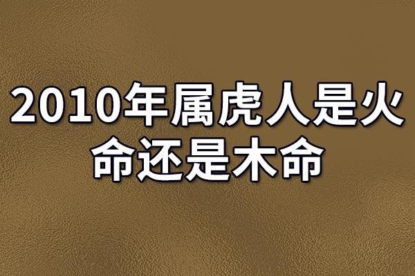 探索虎年出生者的命运与性格特征