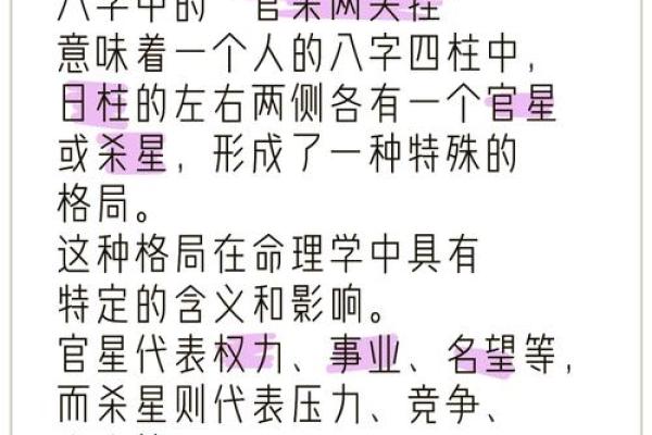 探索下午亥时出生之命：命理学的奥秘与人生解读