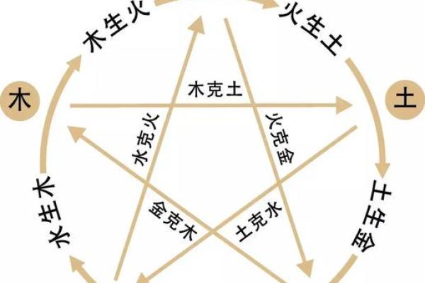 2022年命格分析：揭秘你的命运与机遇