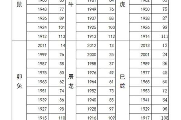 2023年：兔年运势解析与命理揭秘，如何把握你的命运之钥！