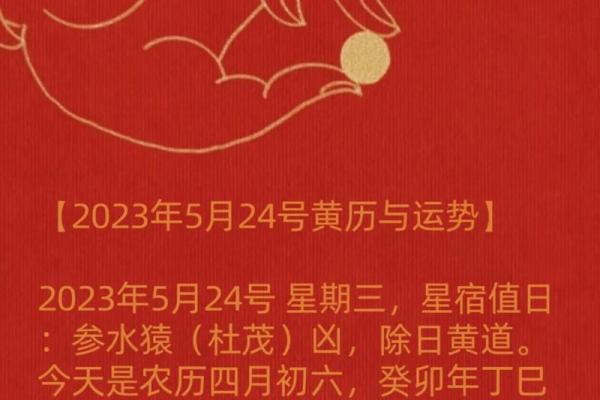 2023年：兔年运势解析与命理揭秘，如何把握你的命运之钥！