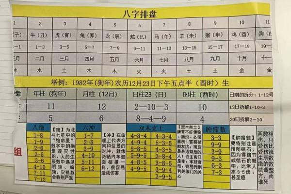 戊午癸亥乙亥辛巳命，五行八字解析与运势探讨