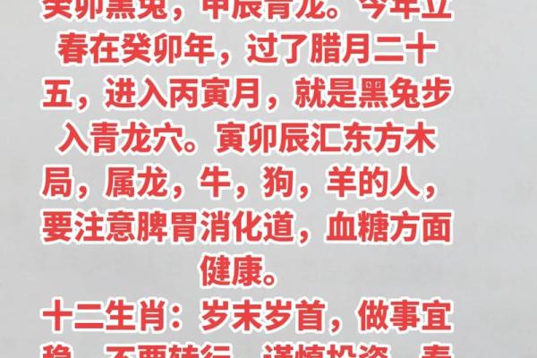 2023年，兔年运势大解析：探秘兔年的命理与生活智慧