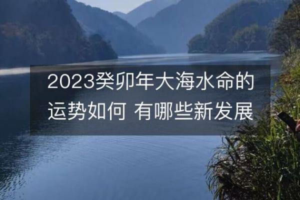 大海水命人的协会与生俱来的特质，如何利用他们的优势？