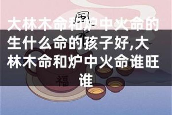 属猪人：木命与火命的秘密，缺什么才能更顺利？