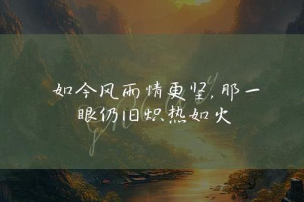 命中注定的相遇：探索《遇见你》背后的情感世界