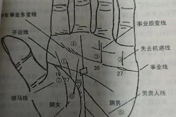 手相揭秘：如何通过掌纹识别你的富贵命运？