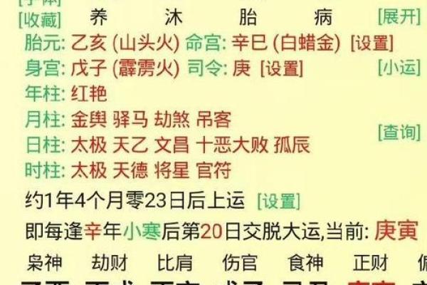 深入探讨甲亥丁亥命格的独特魅力与人生轨迹