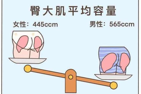 屁股大的男人是什么命？看完你会觉得很有趣！