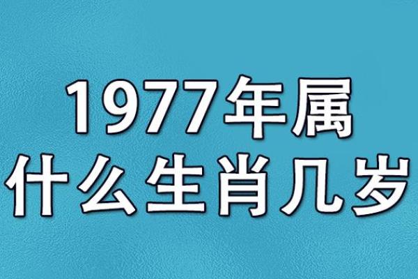 深入剖析1977年出生蛇年人的命运特征与缺失之处