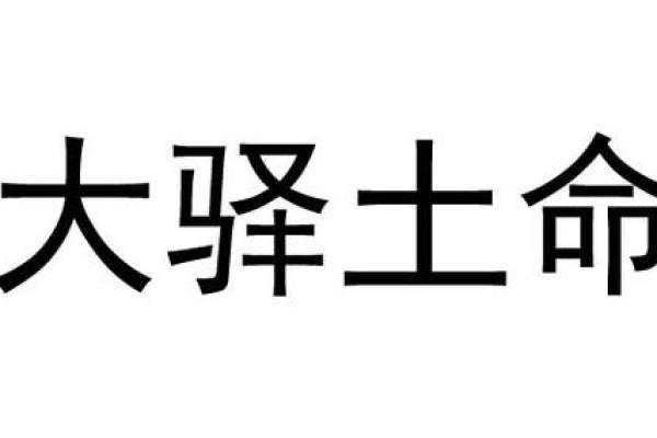 土命男的命理解析与生活指导：如何更好地发挥自身特质