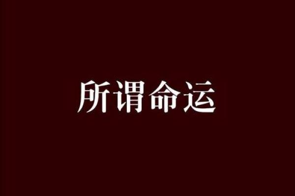 命运与选择：85年冬月18日出生者的生活哲学