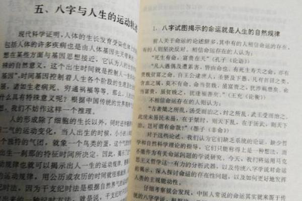 2018年出生的宝宝命运解析：浅谈八字与人生轨迹的奥秘