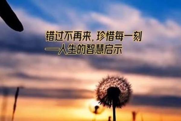 以成语为鉴，探寻人生的智慧与启示