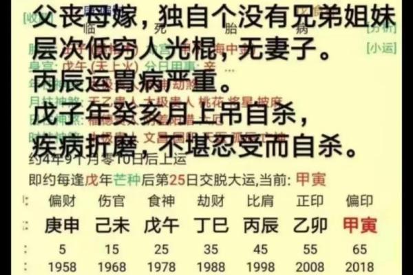 揭秘八字命理：什么样的八字代表木命？