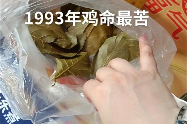 1993年鼠鸡命的命理解析与人生指南