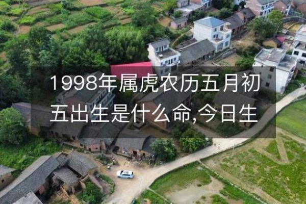 2022年农历虎年是什么命？解密虎年的命运与性格特点！