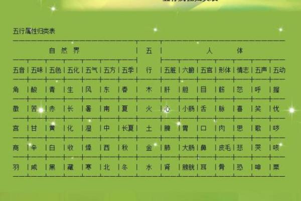 1994年出生者的命理解析：五行属性与人生道路的启示