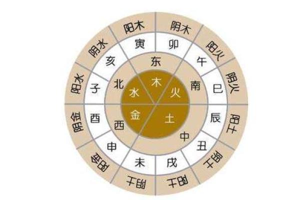 2019年新生宝宝的命运解析：生肖与五行的完美结合！