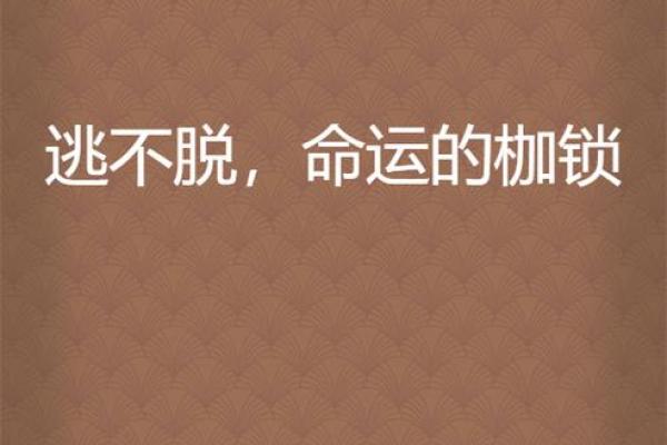 72年出生的50岁人：命运与人生的深刻解读