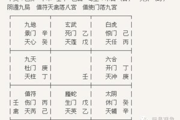 1975年乙卯兔的命运分析：如何正确把握人生方向