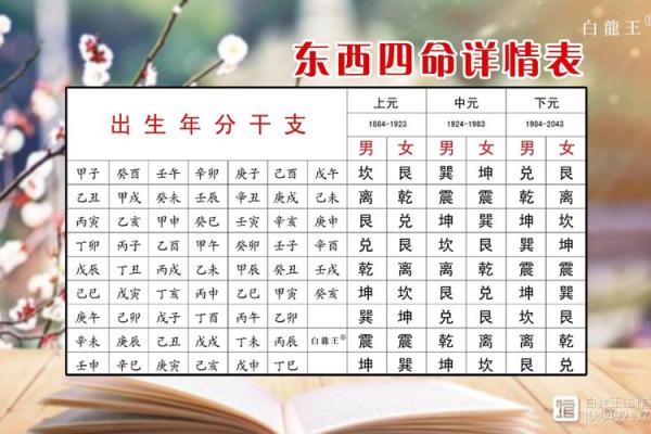 东四命西四命：如何巧妙应对命理差异带来的生活挑战