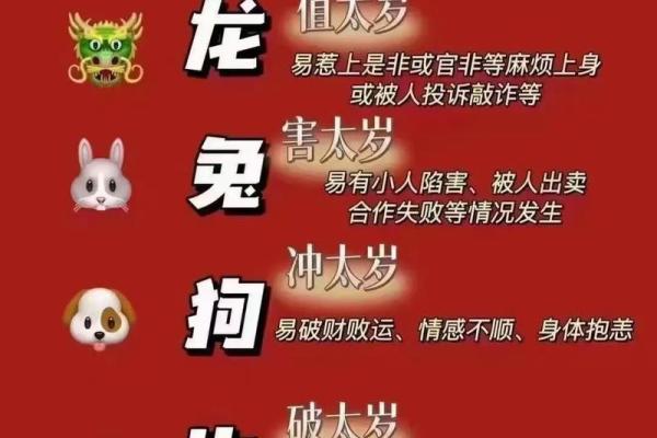 属狗40岁的人命运解析：掌握生肖运势的秘密与智慧