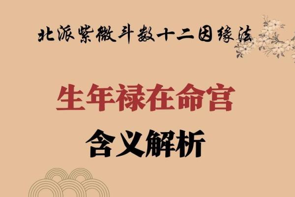 男性与女性命宫的差异探秘：命理学中的智慧与奥秘