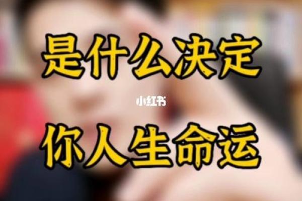 牛40多岁命运解析：如何把握人生的黄金时期