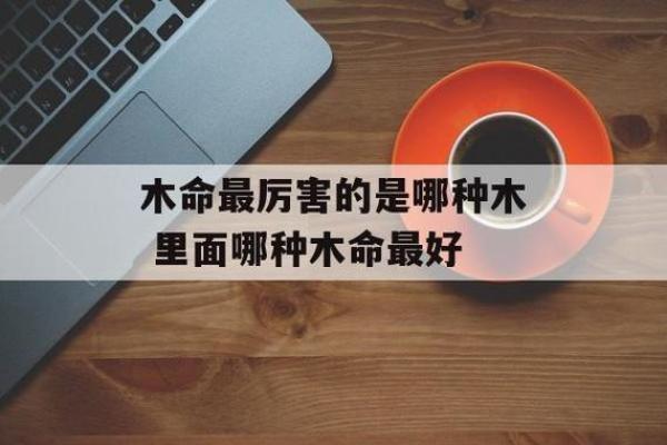 木命男人适合的职业选择与发展方向解析