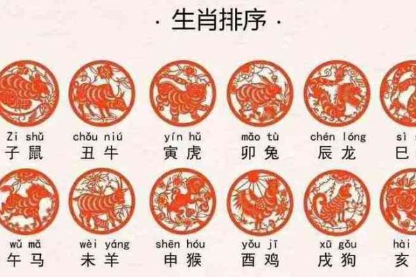 1981属鸡男生的命运解析：如何面对人生的挑战与机遇？