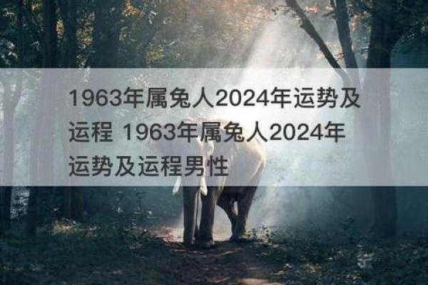 揭晓63年出生的人生肖与命运解密！