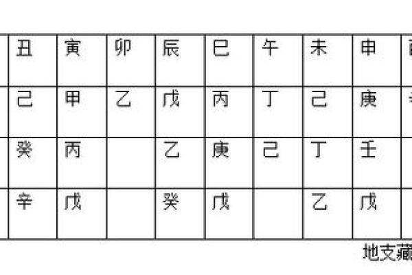 命理学中的天罗与其他元素的深度分析与实际应用