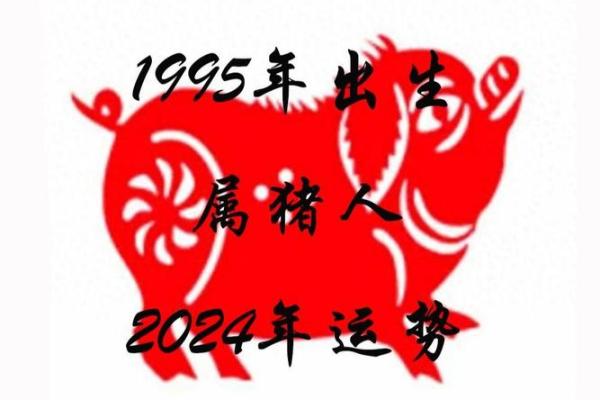 29岁属猪人一生运势解析，揭示命运秘密与成就之路！