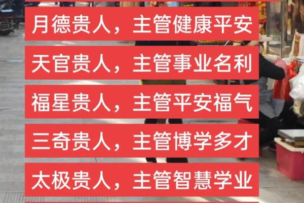 借天命者的命运：探寻命理中的智慧与启示