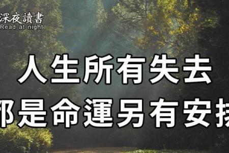 49岁猴命解析：揭秘属于你的命运与人生轨迹