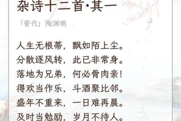 “惜命是命”——珍惜生命，活出精彩人生的真谛