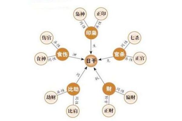 适合养殖的命理分析：从五行看养殖与人的关系