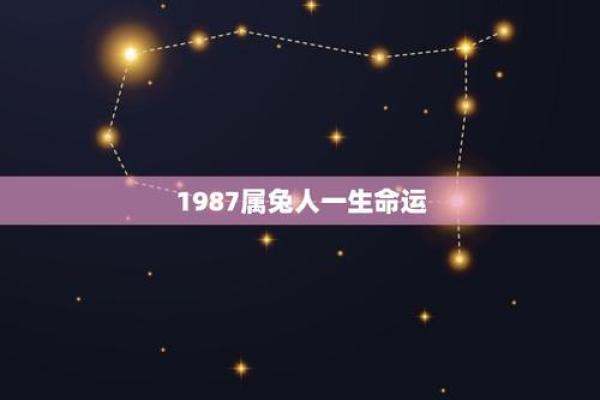 2011年兔年出生的人：性格特点与命运分析