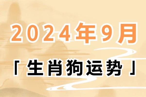 1994年属狗人的命运分析与生活指导