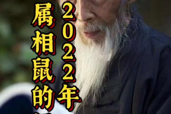 2020年属鼠的人命理解析：探索他们的性格与运势