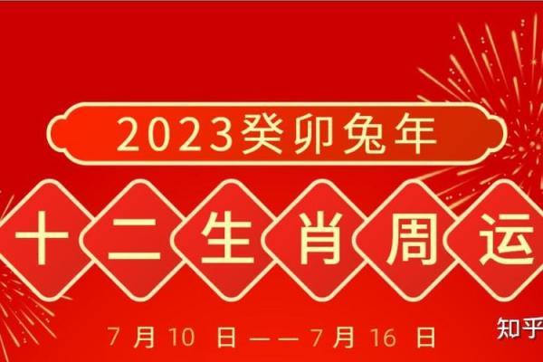 探索1975年属猪人的命运与生活智慧