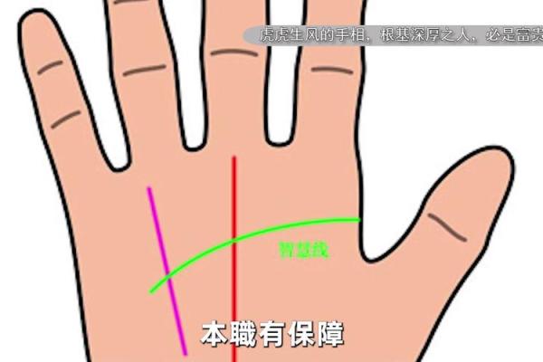 手相解析：粗壮食指暗示的人生财富与智慧之道