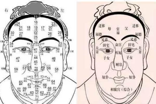 脸上黑白相间的人生运势探秘：命理与面相的奇妙关系