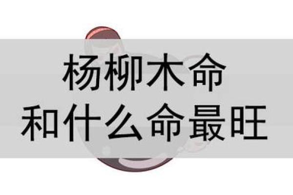 木命人适合的发展方向及其最佳选择解析