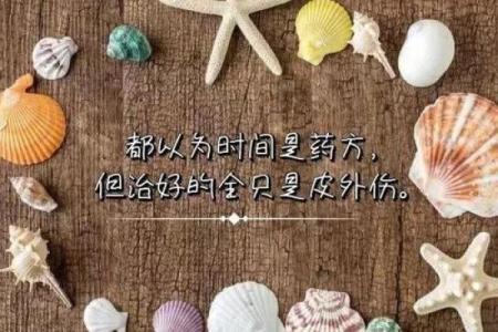 理解“拢乁惜命命”的深意与生活哲学