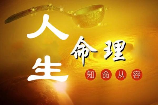 2008年：十字路口中的希望与挑战——探索财富与命运的交汇点