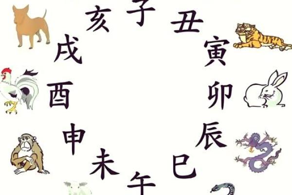 2019年未时命理解析：探索鼠年人的性格与命运奥秘