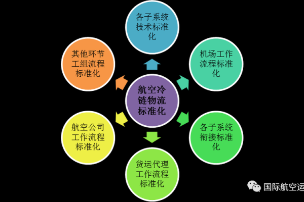 命是金命者的职业选择与发展方向探讨